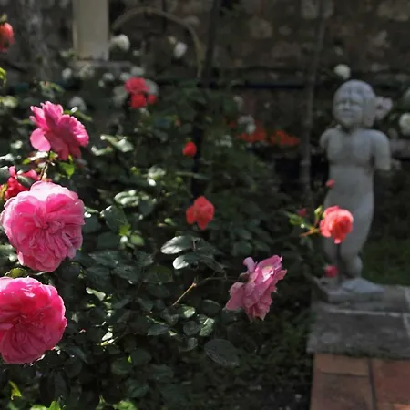 Appartamento Old Town Garden *